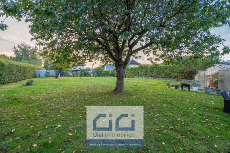 4 Riesen Rasenfl�che mit gro�em Baum min Einfamilienhaus Neuenrade