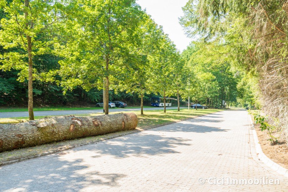 DSC09534 Halle Eppenbrunn