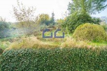 04.Garten Ein Haus mit Geschichte: Gepflegtes Zweifamilienhaus mit Potenzial in ruhiger Sackgasse